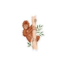 Orangutan
