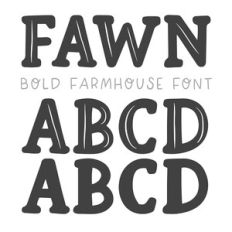 DTC Fawn Bold Serif Farmhouse Font