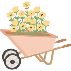 wheelbarrow full of flowers