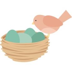 bird with nest
