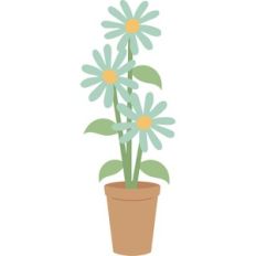 flowers in pot