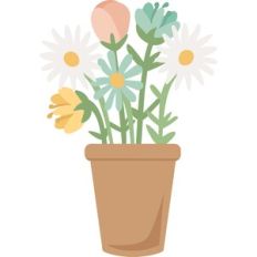 spring flowers in pot