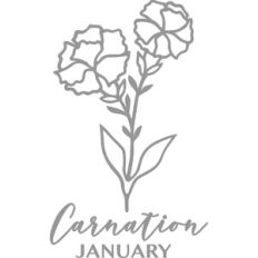 January Carnation