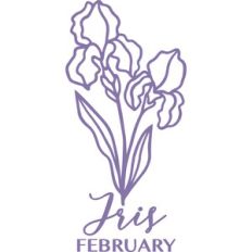 February Iris