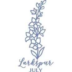 July Larkspur