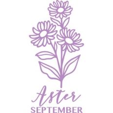 September aster