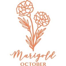 October marigold