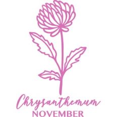November Chrystanthemum