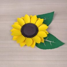 Sunflower with foliage