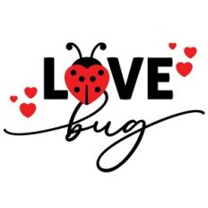 Love Bug