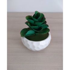 Fantastic Succulent – 3D Paper Succulent