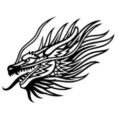 Chinese dragon head
