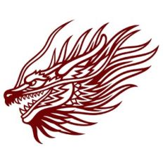 Chinese New Year dragon
