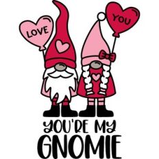 you're my gnomie