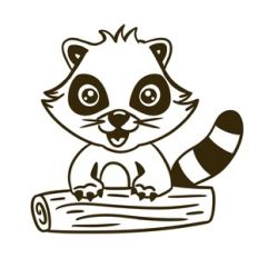 Cute Raccoon