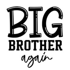 Big Brother Again