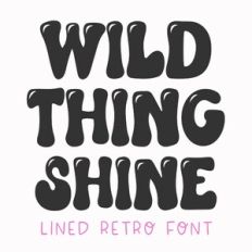 BFC Wild Thing Shine Retro Font