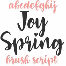 joy spring brush script font