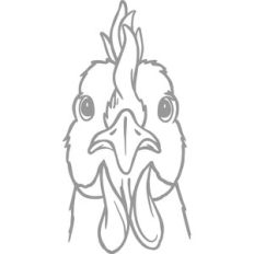 chicken