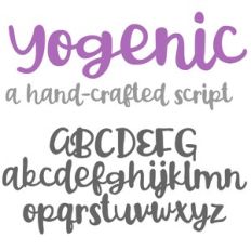 PN Yogenic