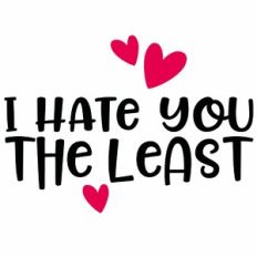 I Hate you The Least
