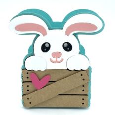 bunny in the box