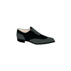 Groom's Shoe