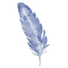 Blue feather print n cut