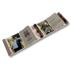 Accordion Mini Album