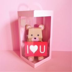 Teddy Bear Gift Box + Display Box
