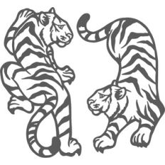 tigers