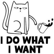 do what  i want cat