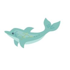 dolphin