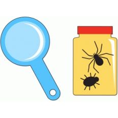 bug jar and magnifying glass