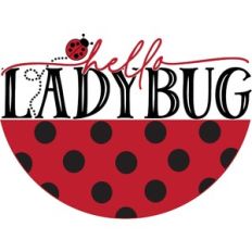 Hello Ladybug - Layered