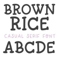 BFC Brown Rice Farmhouse Serif Font