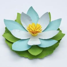 3D Lotus and Leaf - Cynthia Braga