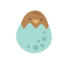 baby bird