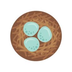 Bird's nest with eggs