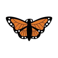 Monarch butterfly