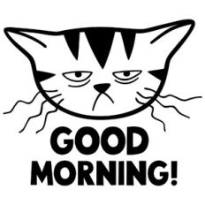 good morning cat