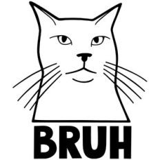 bruh cat