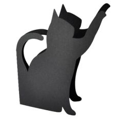 Curious Kitty Card
