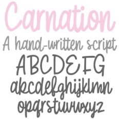 ZP Carnation