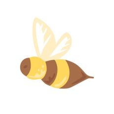 Honey Bee
