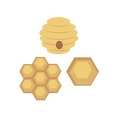 Honey comb Beehive
