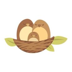 bird nest family