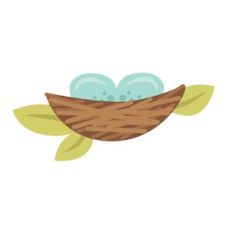 Bird's Nest