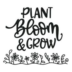 Plant Bloom Grow