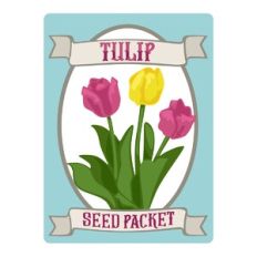 Tulip Seed Packet